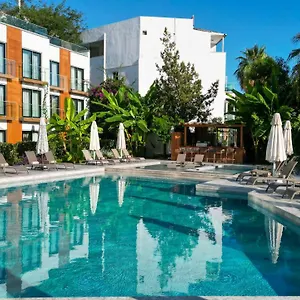 book here